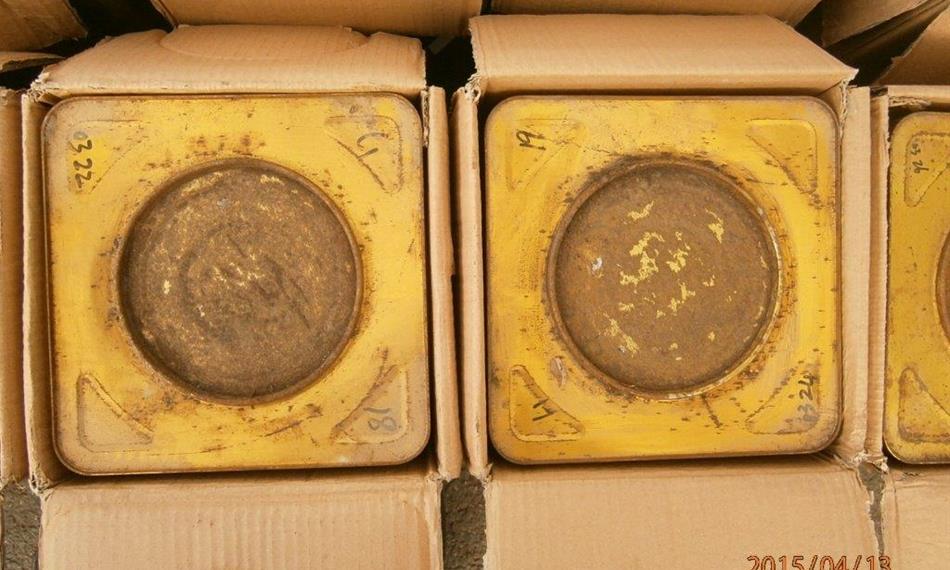 2015-4-20-1153Hostivař - bambus 4.jpg